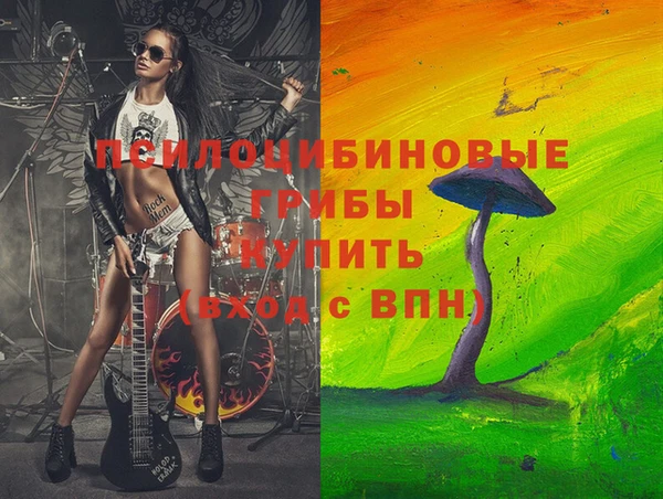 PSILOCYBIN Баксан