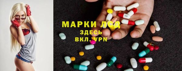PSILOCYBIN Баксан