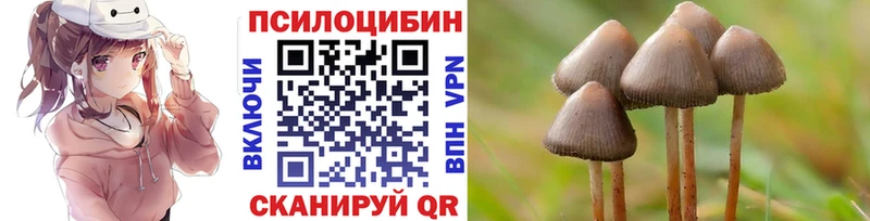 Купить Воткинск Псилоцибиновые грибы мицелий